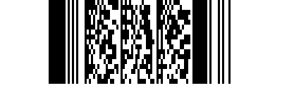 pdf417 barcode